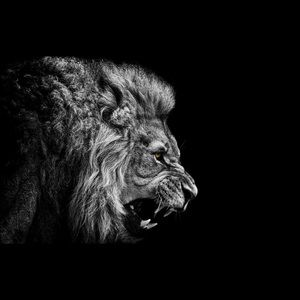 Meet your Posher, Omer